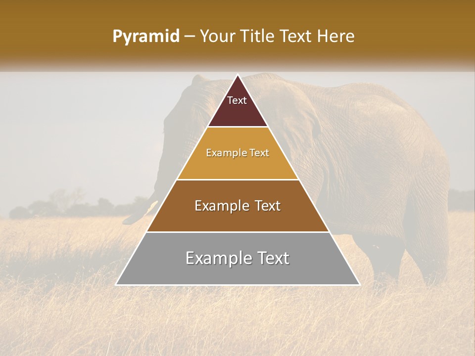 Air Conditioner Switch PowerPoint Template