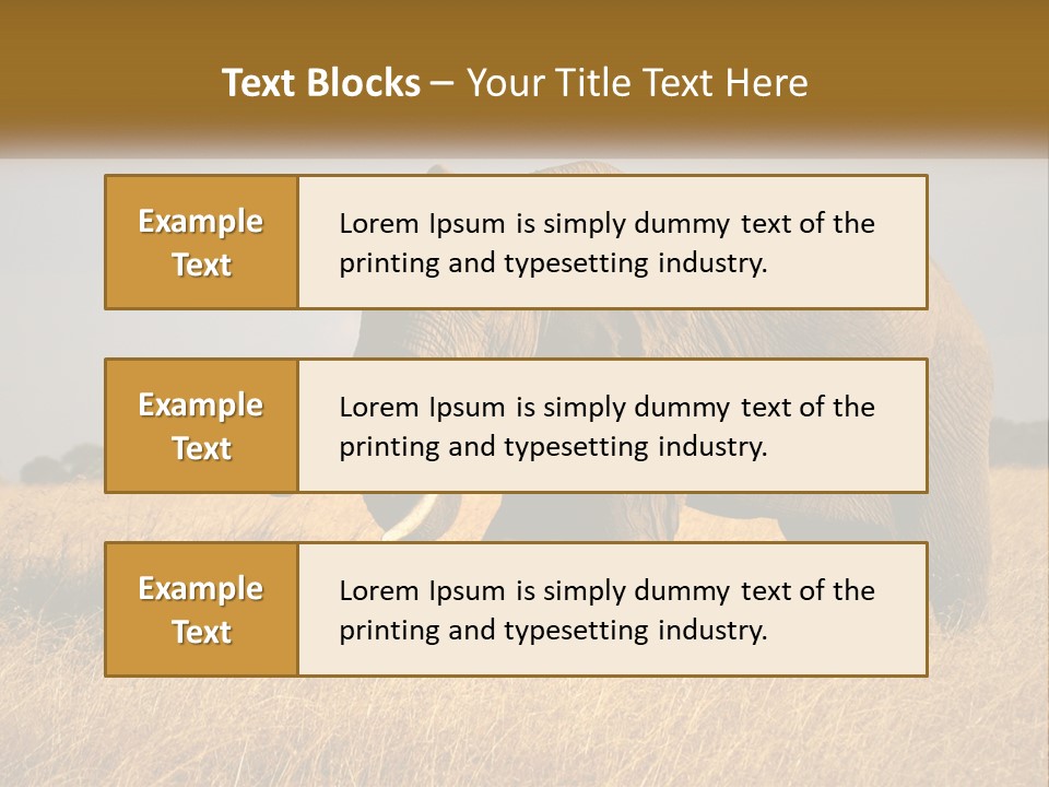 Air Conditioner Switch PowerPoint Template
