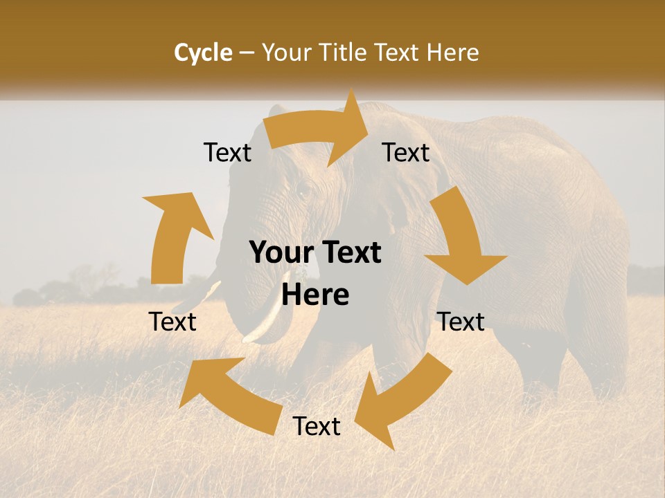Air Conditioner Switch PowerPoint Template