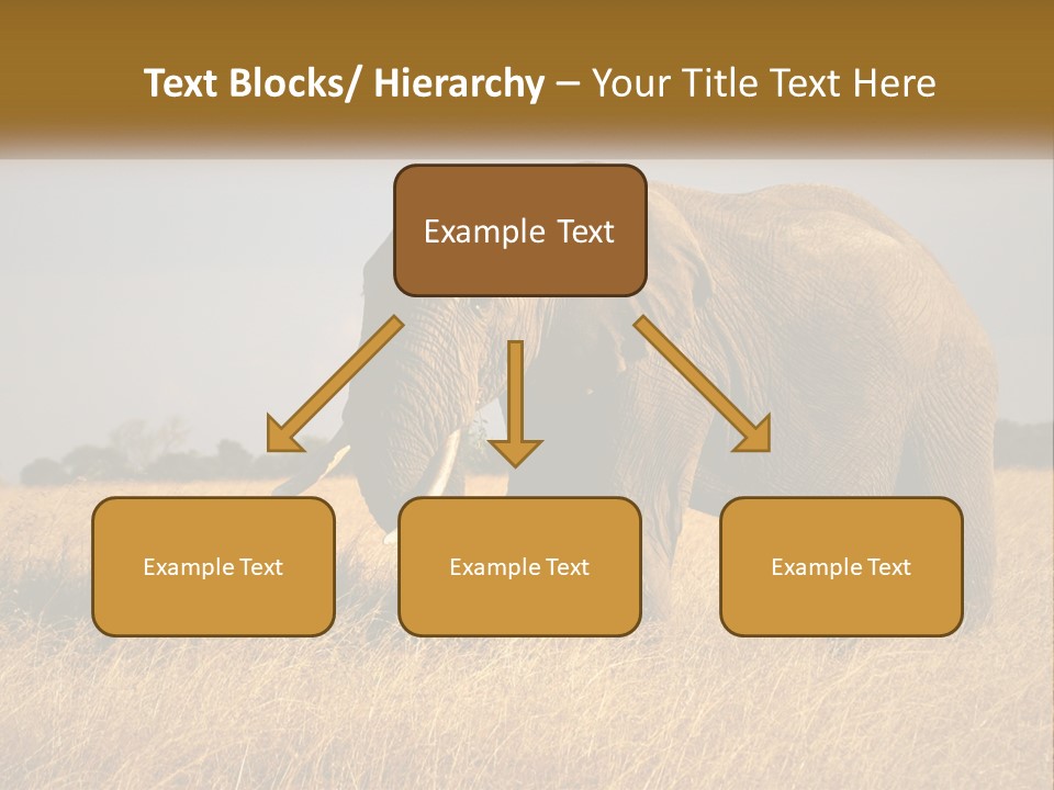 Air Conditioner Switch PowerPoint Template