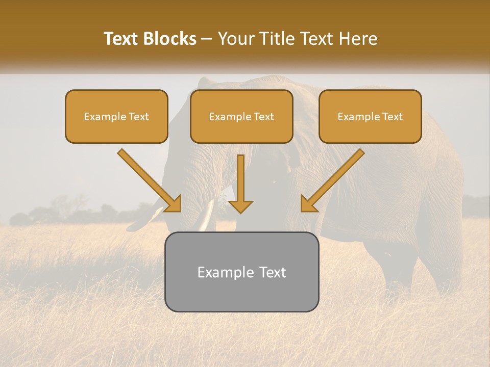Air Conditioner Switch PowerPoint Template