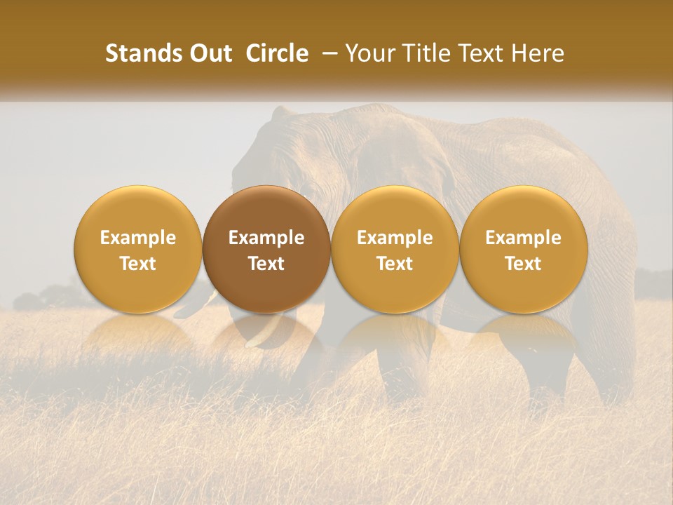 Air Conditioner Switch PowerPoint Template