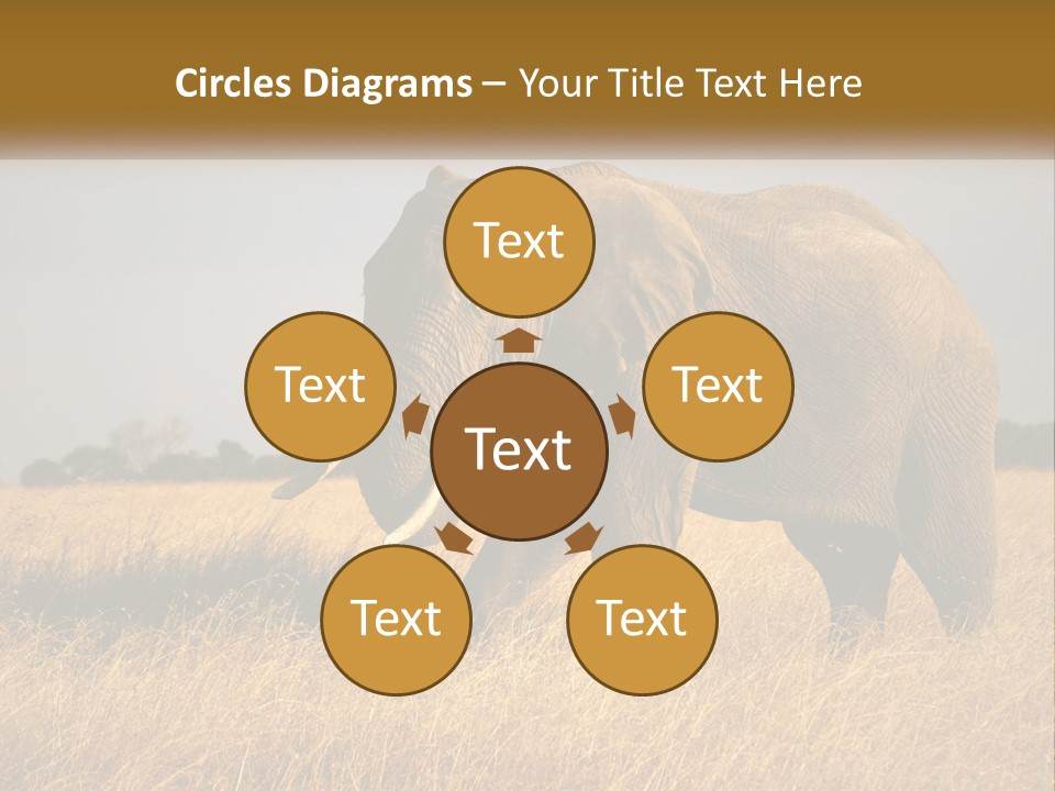 Air Conditioner Switch PowerPoint Template