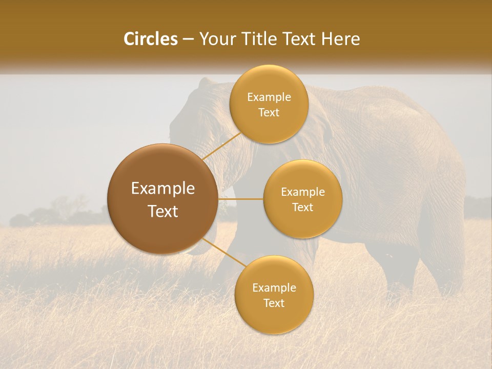 Air Conditioner Switch PowerPoint Template