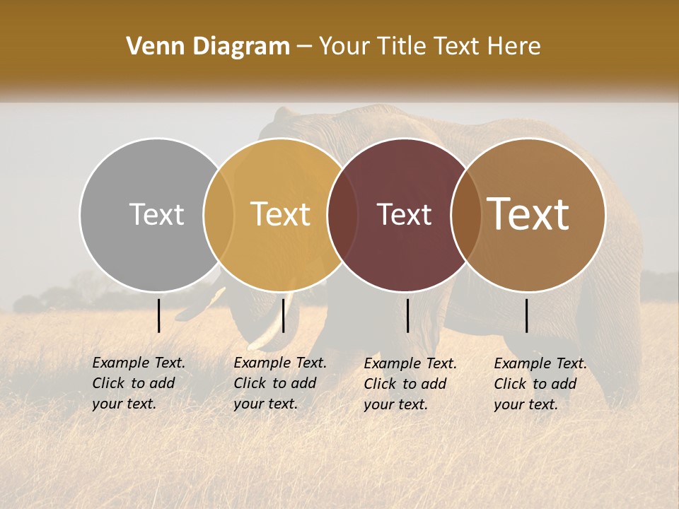 Air Conditioner Switch PowerPoint Template