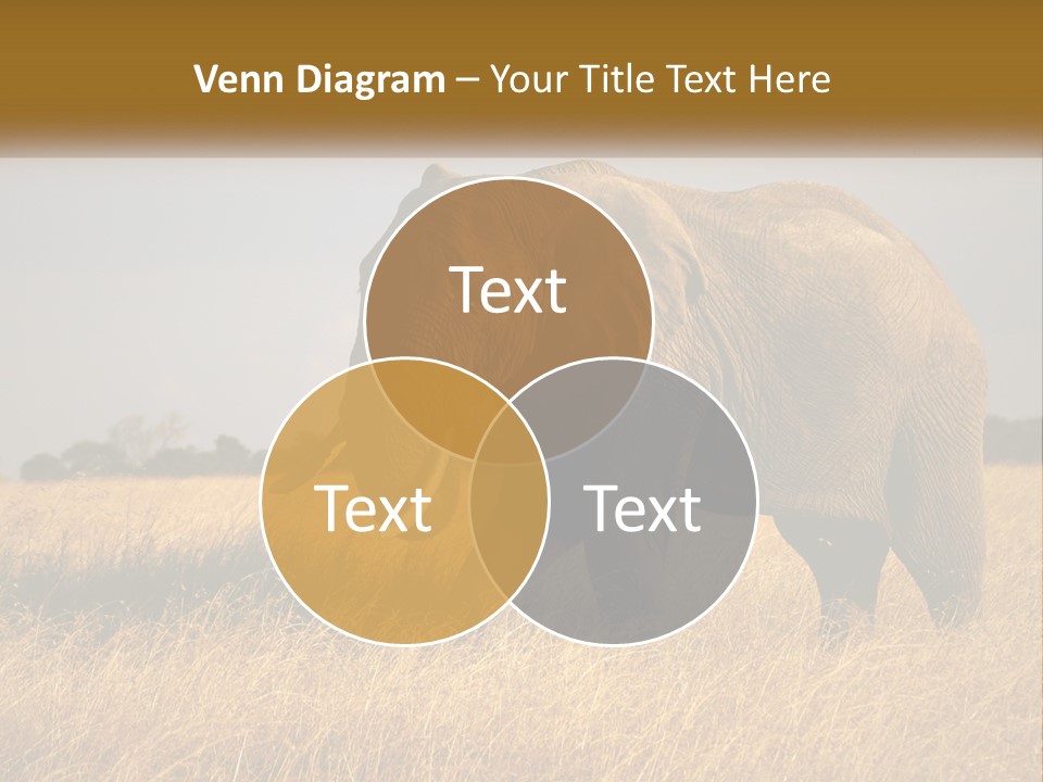 Air Conditioner Switch PowerPoint Template