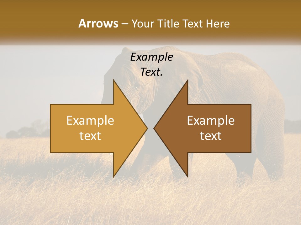 Air Conditioner Switch PowerPoint Template