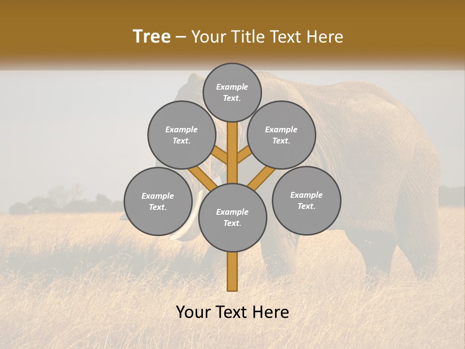 Air Conditioner Switch PowerPoint Template