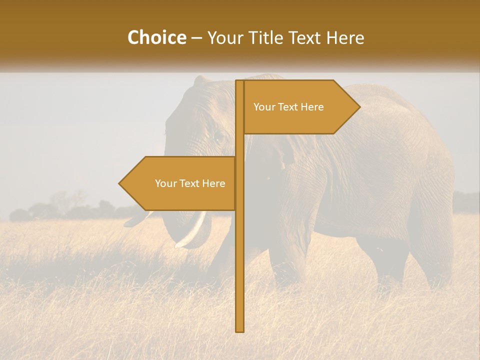 Air Conditioner Switch PowerPoint Template