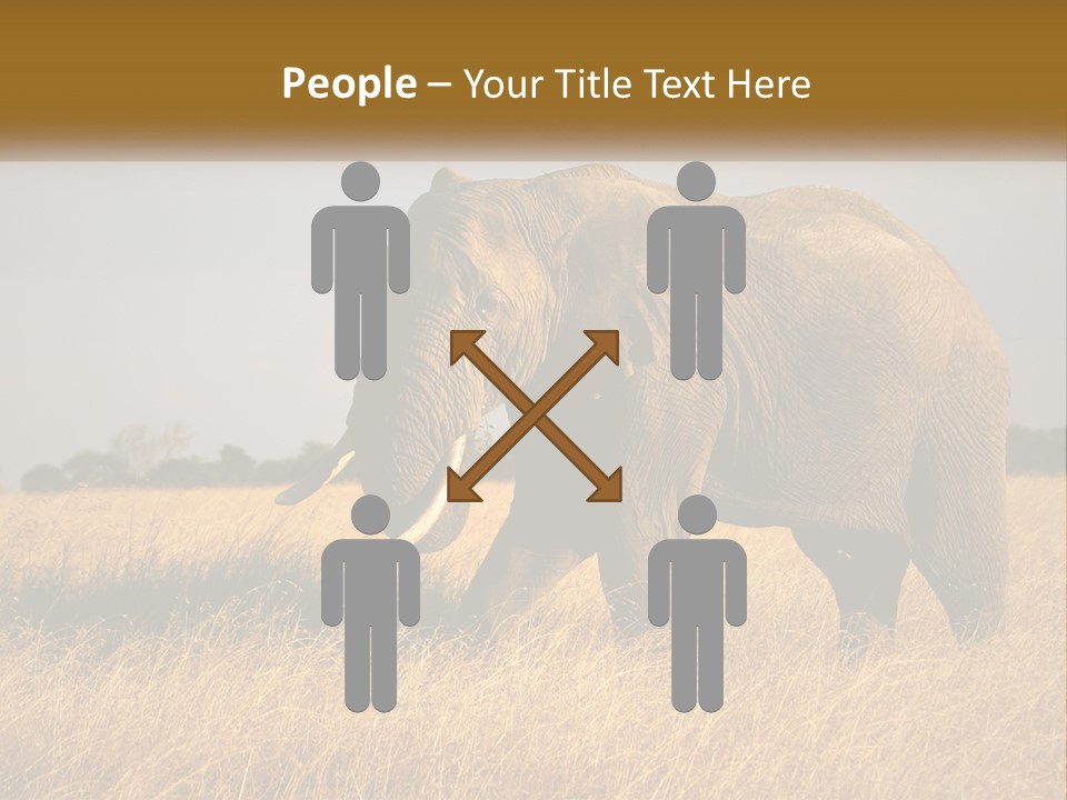 Air Conditioner Switch PowerPoint Template