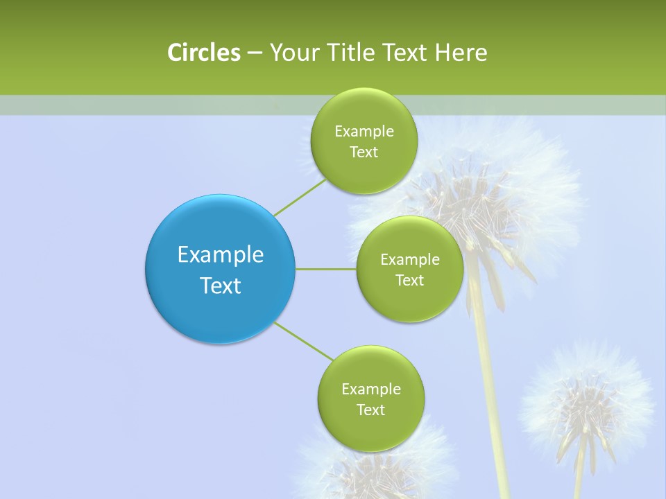 System White Switch PowerPoint Template