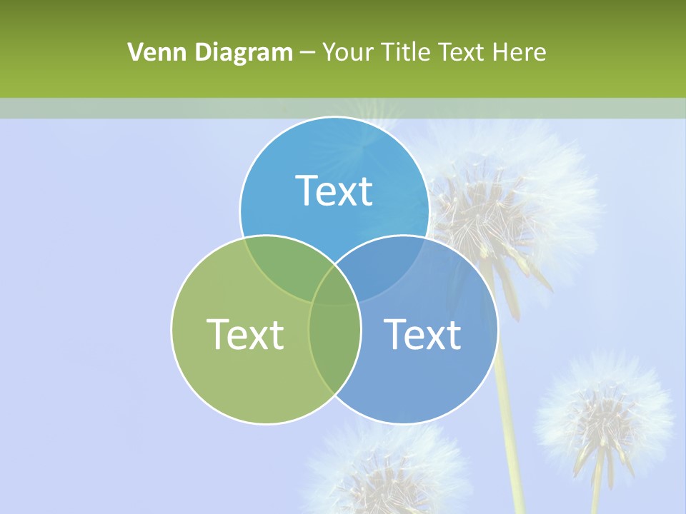System White Switch PowerPoint Template