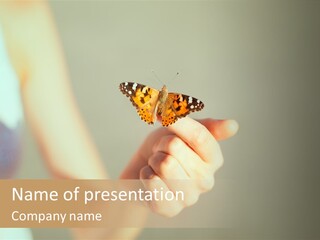 Heat Home Cold PowerPoint Template