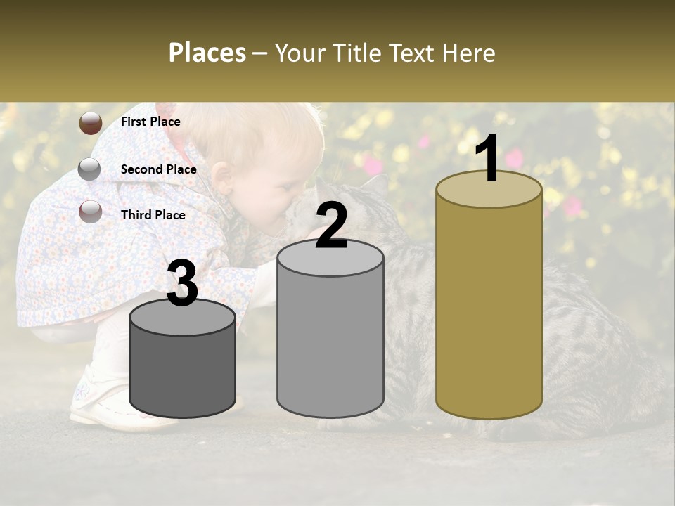 Power Conditioner Switch PowerPoint Template