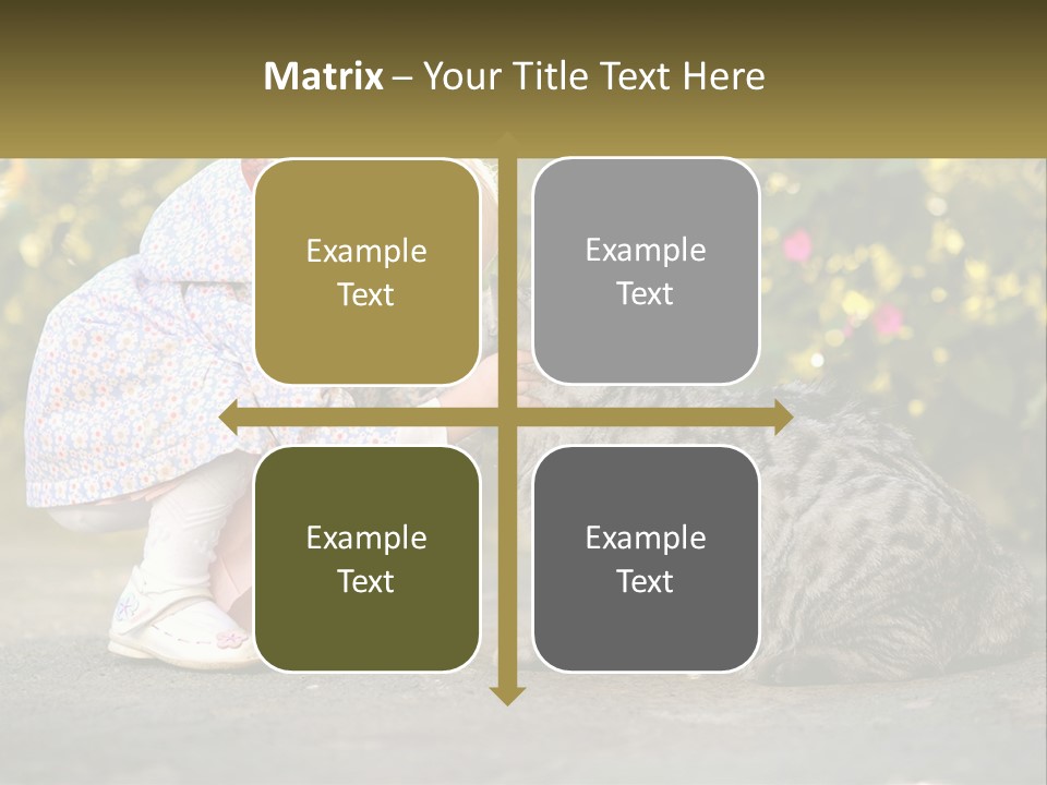 Power Conditioner Switch PowerPoint Template