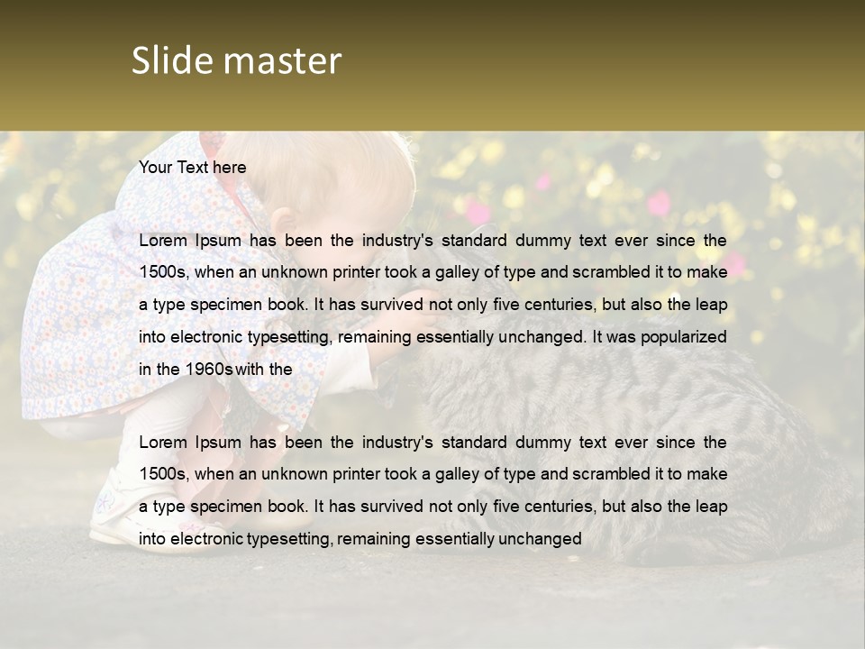 Power Conditioner Switch PowerPoint Template