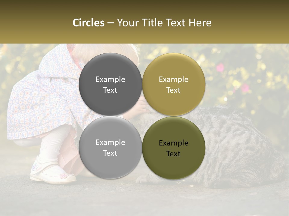 Power Conditioner Switch PowerPoint Template