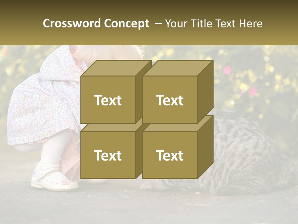 Power Conditioner Switch PowerPoint Template