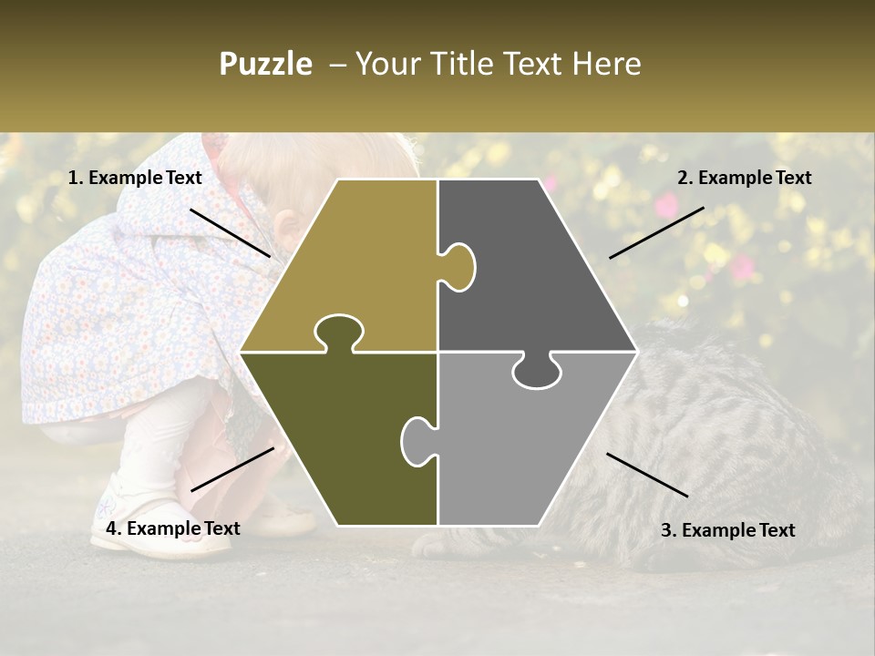 Power Conditioner Switch PowerPoint Template