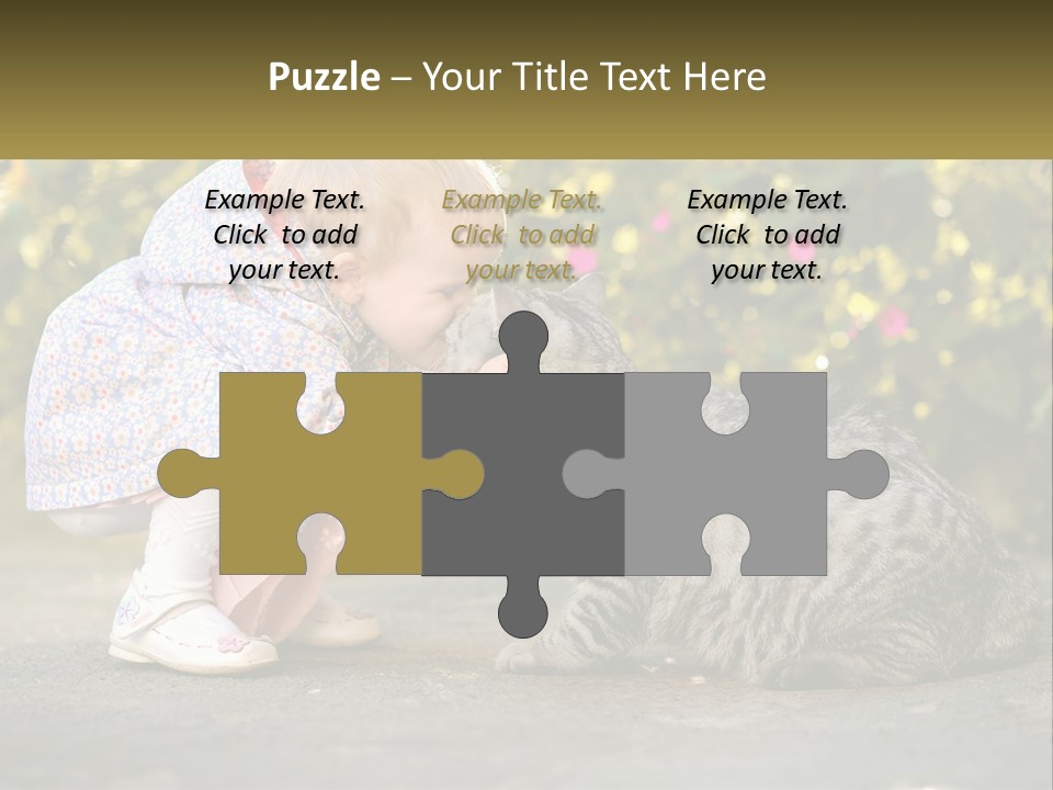 Power Conditioner Switch PowerPoint Template