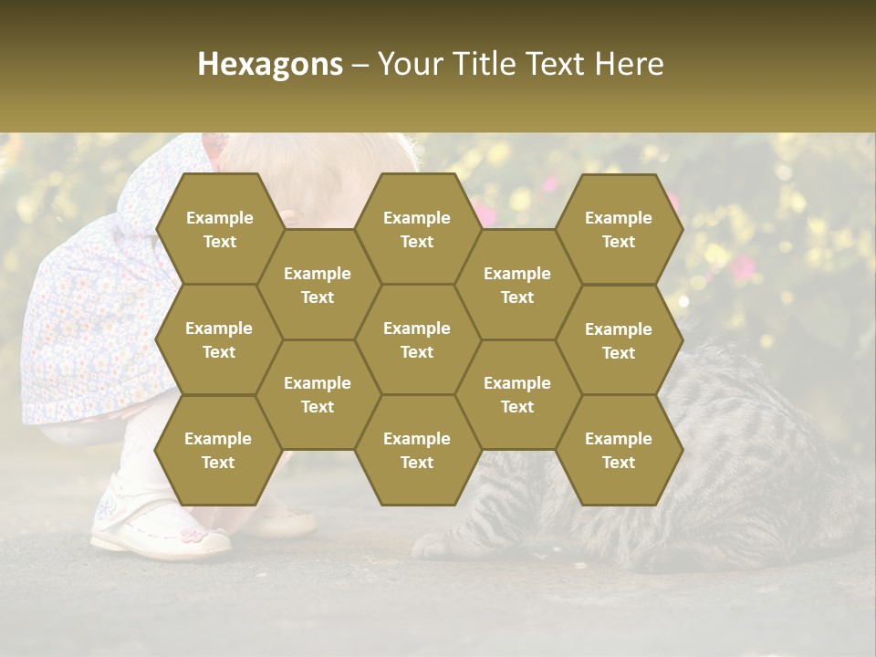 Power Conditioner Switch PowerPoint Template