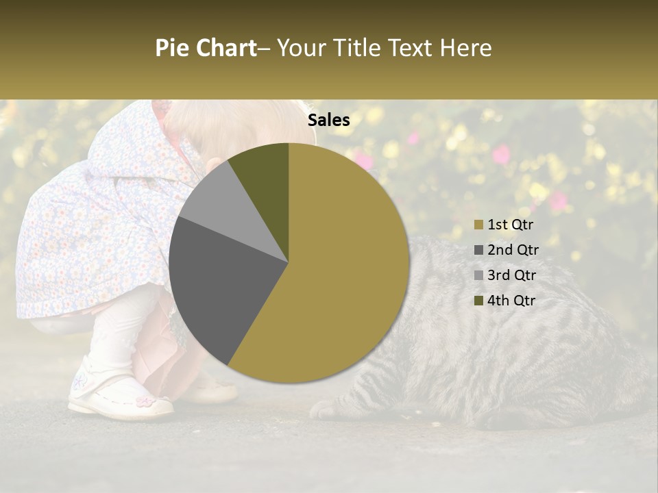 Power Conditioner Switch PowerPoint Template