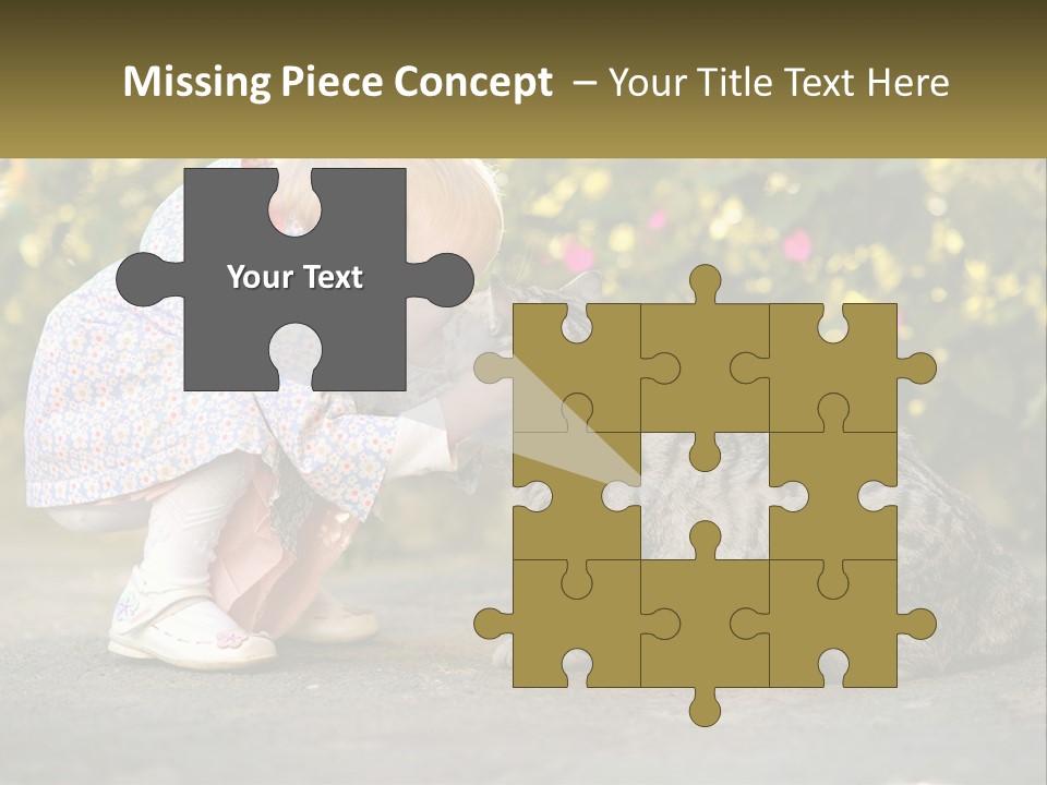 Power Conditioner Switch PowerPoint Template