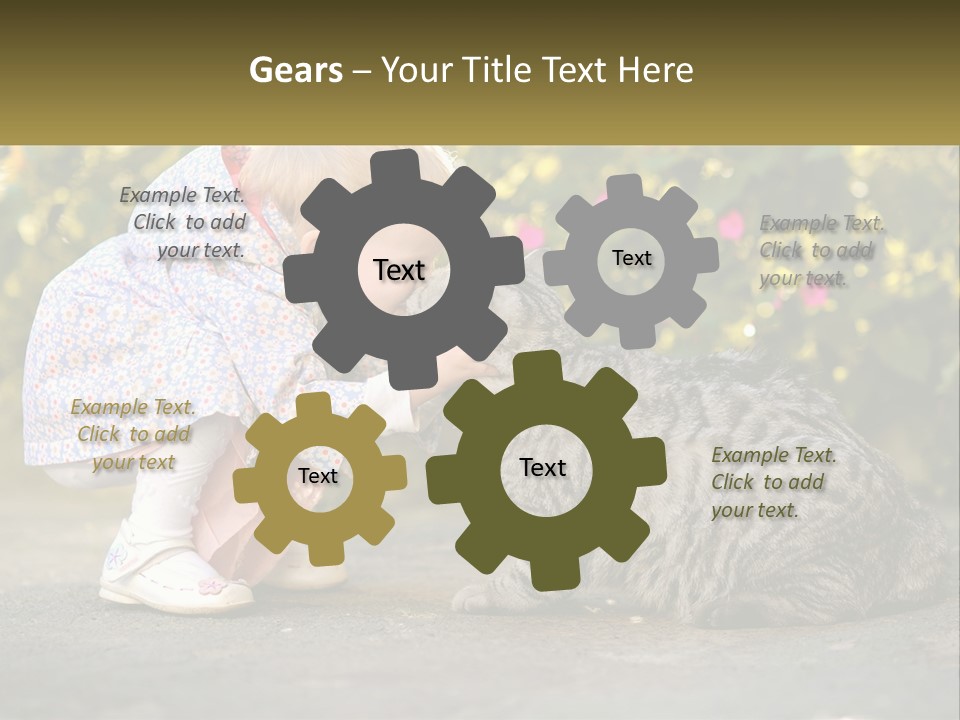 Power Conditioner Switch PowerPoint Template