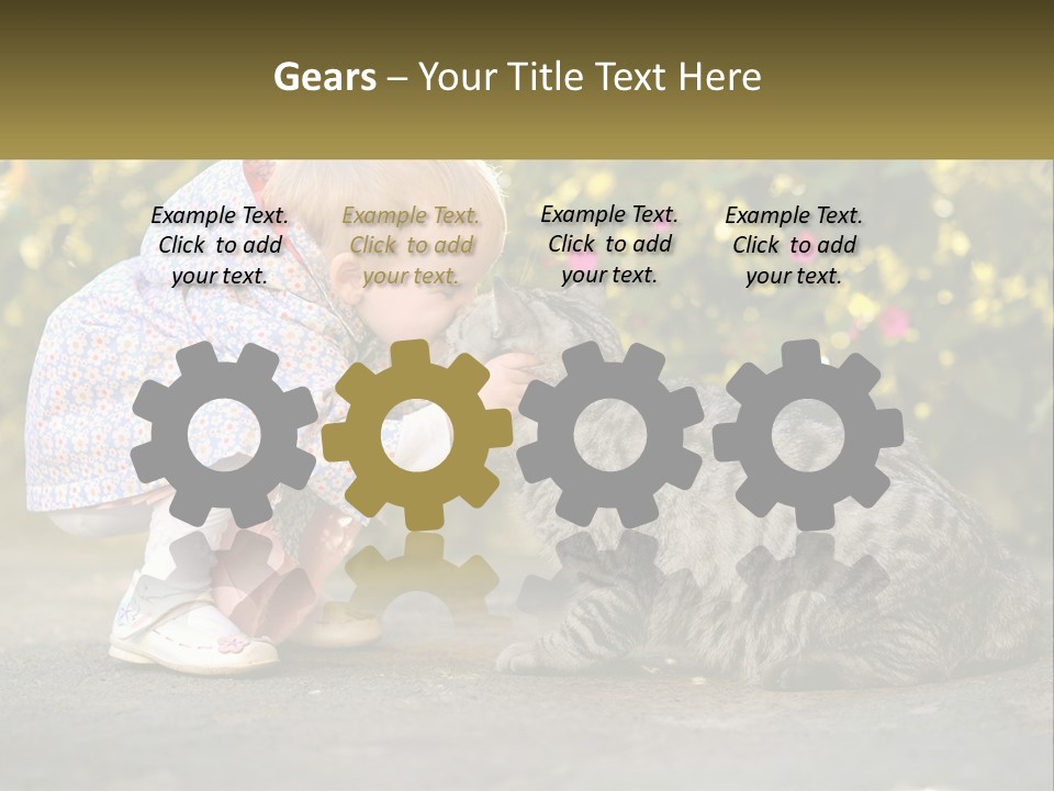 Power Conditioner Switch PowerPoint Template