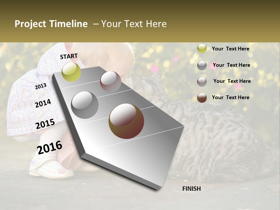 Power Conditioner Switch PowerPoint Template
