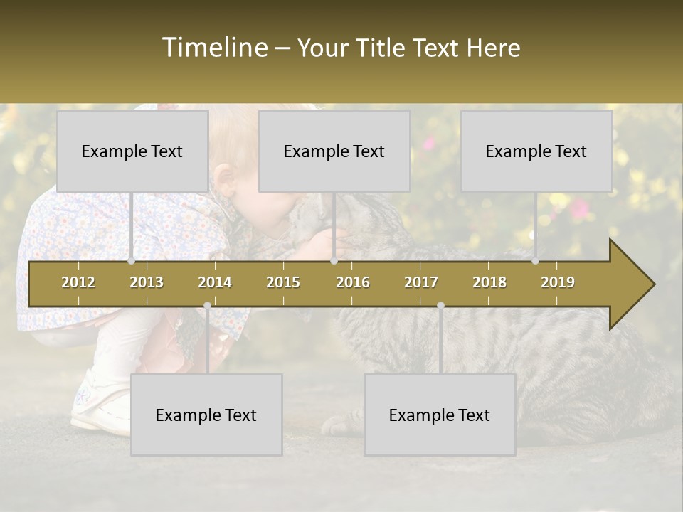 Power Conditioner Switch PowerPoint Template