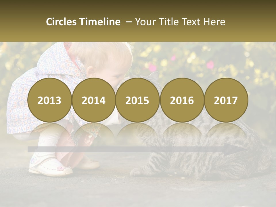 Power Conditioner Switch PowerPoint Template