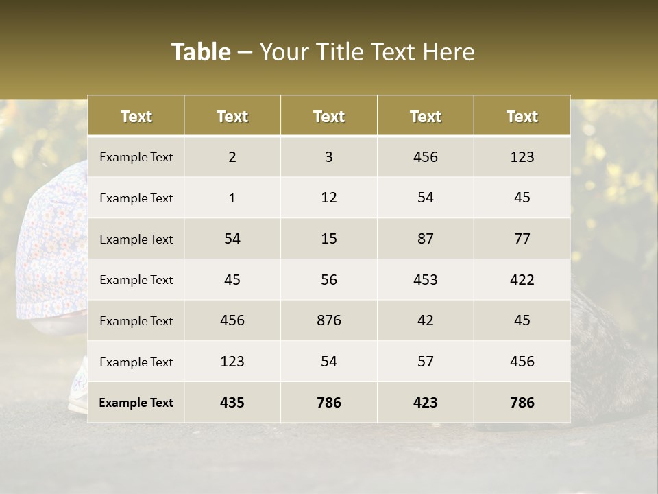 Power Conditioner Switch PowerPoint Template