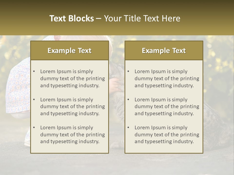 Power Conditioner Switch PowerPoint Template