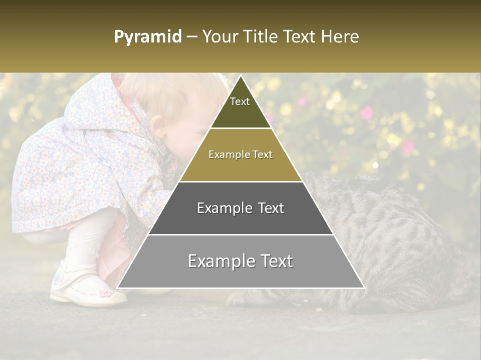 Power Conditioner Switch PowerPoint Template