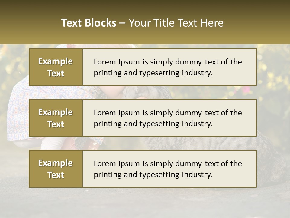 Power Conditioner Switch PowerPoint Template