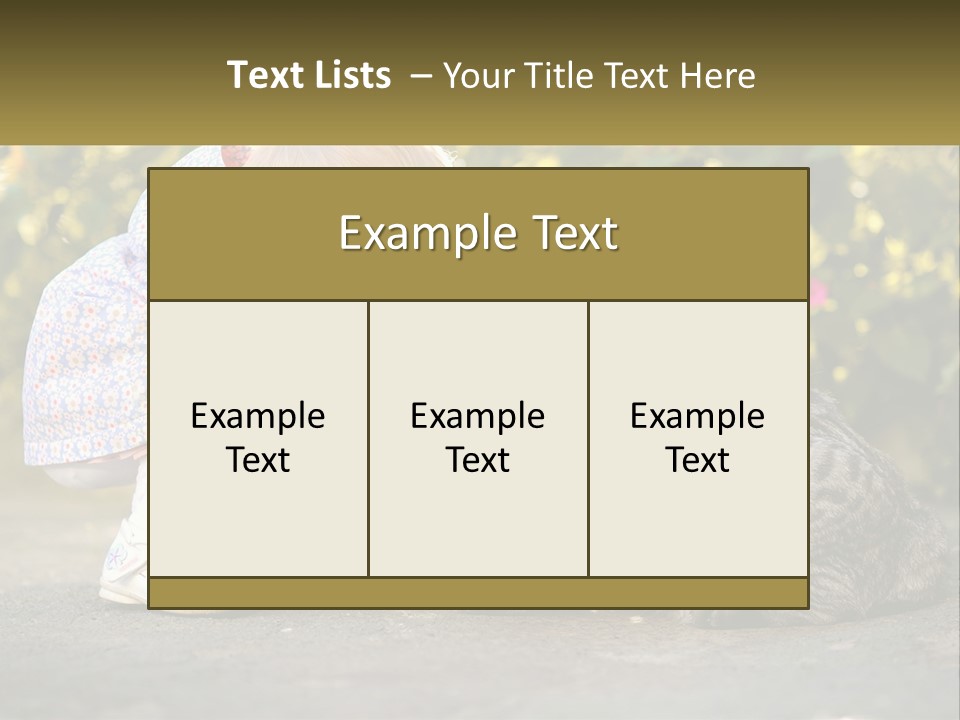 Power Conditioner Switch PowerPoint Template