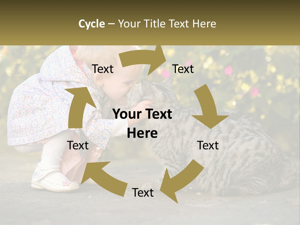 Power Conditioner Switch PowerPoint Template
