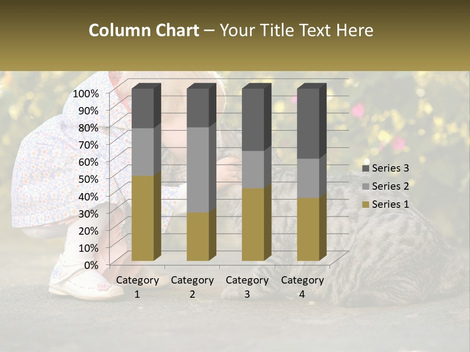 Power Conditioner Switch PowerPoint Template