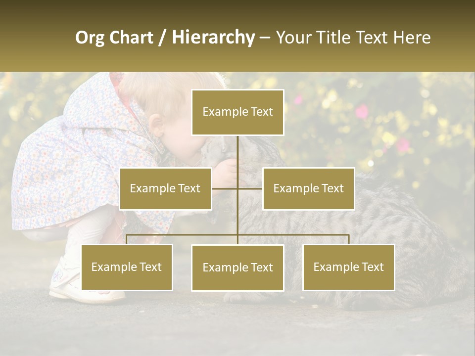 Power Conditioner Switch PowerPoint Template