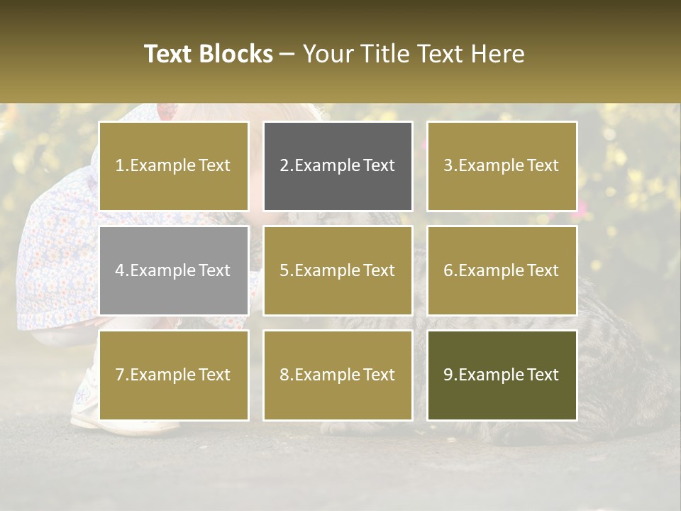 Power Conditioner Switch PowerPoint Template