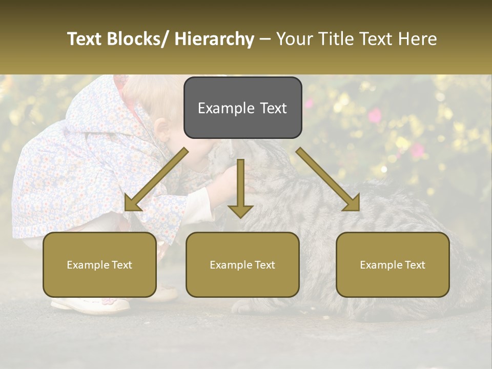 Power Conditioner Switch PowerPoint Template