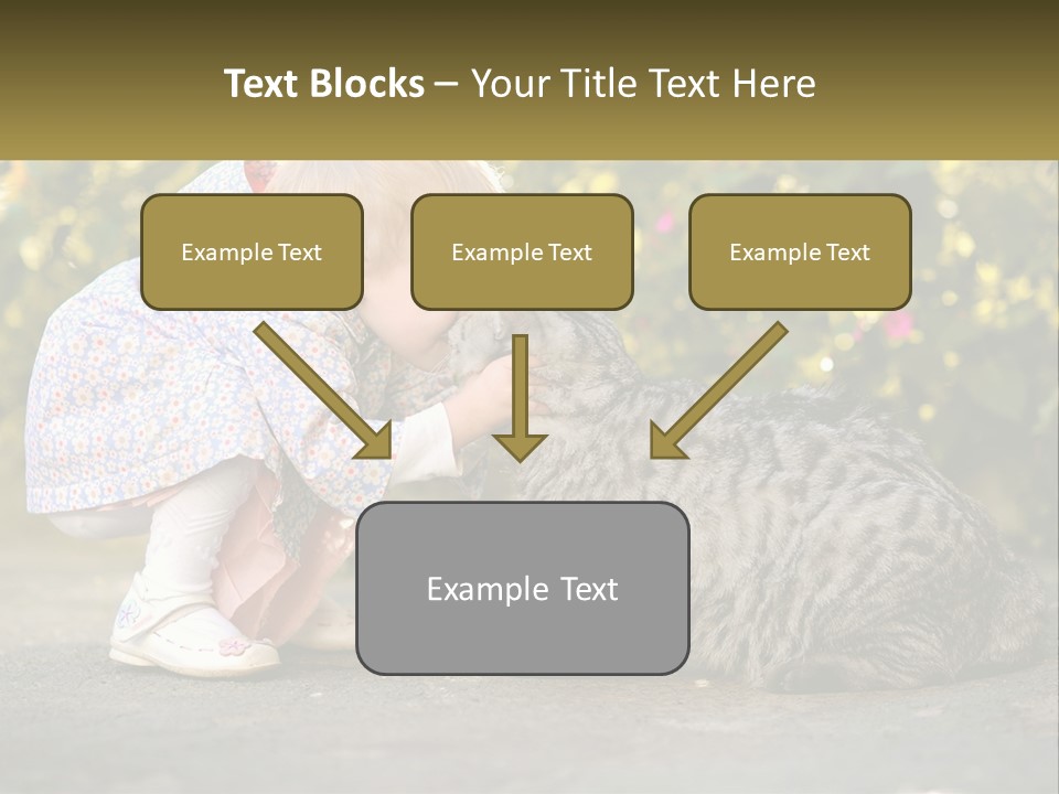 Power Conditioner Switch PowerPoint Template