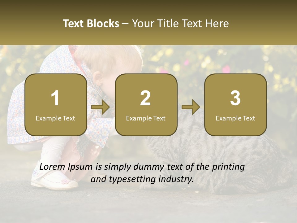 Power Conditioner Switch PowerPoint Template