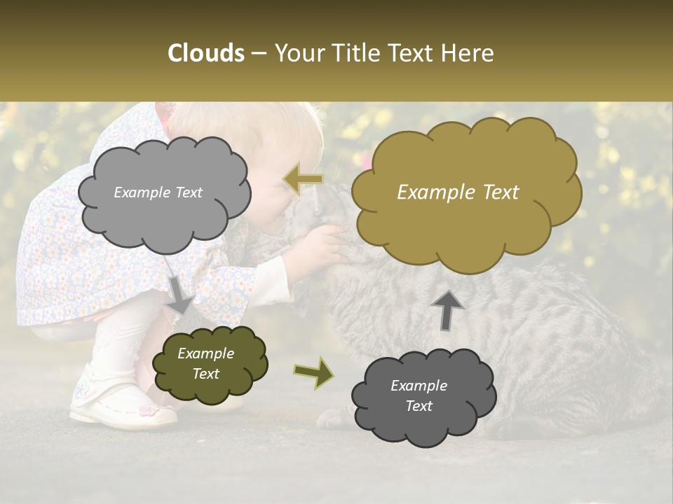 Power Conditioner Switch PowerPoint Template