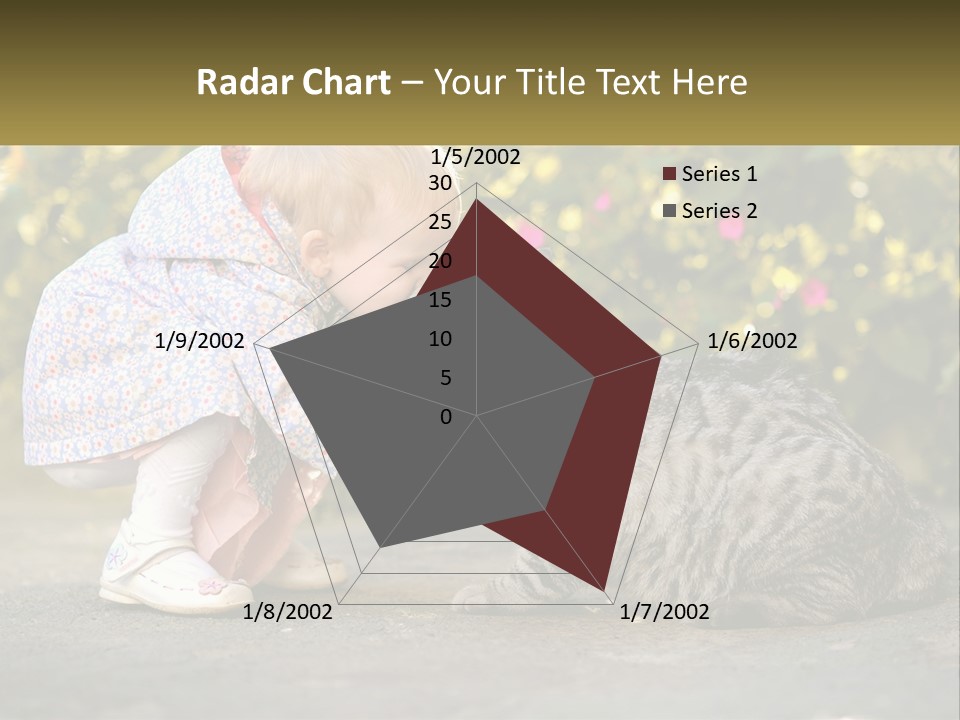 Power Conditioner Switch PowerPoint Template