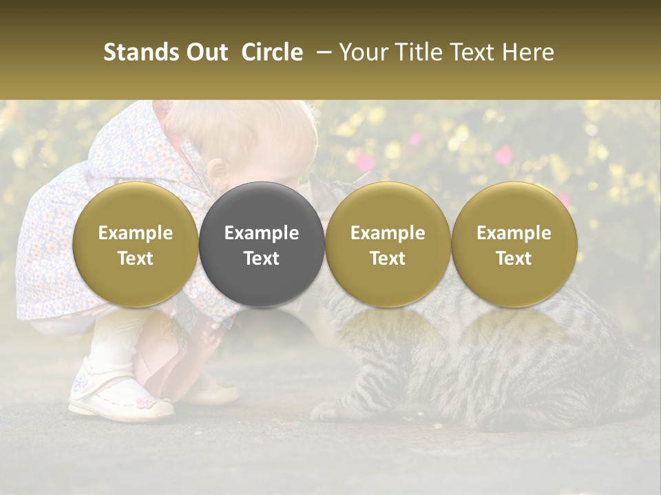 Power Conditioner Switch PowerPoint Template