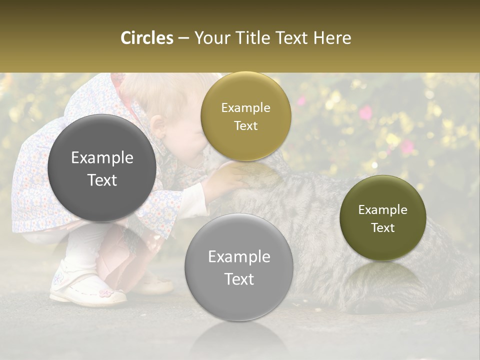 Power Conditioner Switch PowerPoint Template