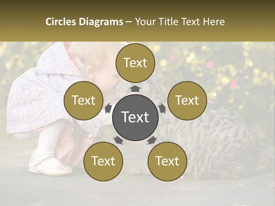 Power Conditioner Switch PowerPoint Template