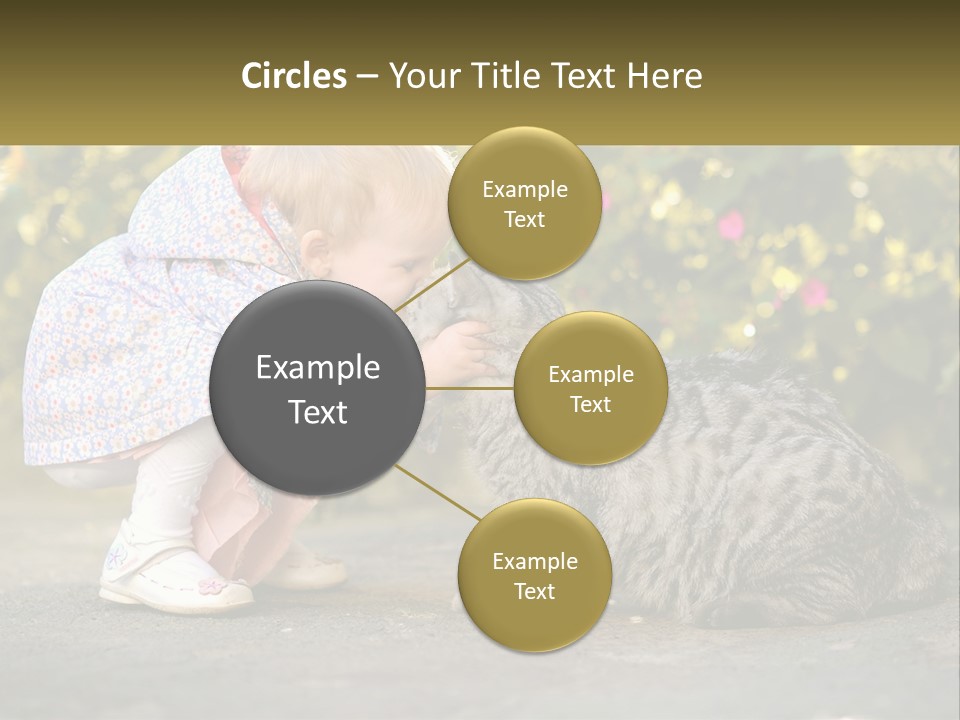 Power Conditioner Switch PowerPoint Template